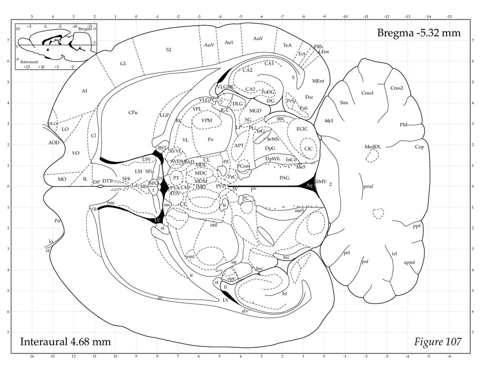 Rat Brain Atlas