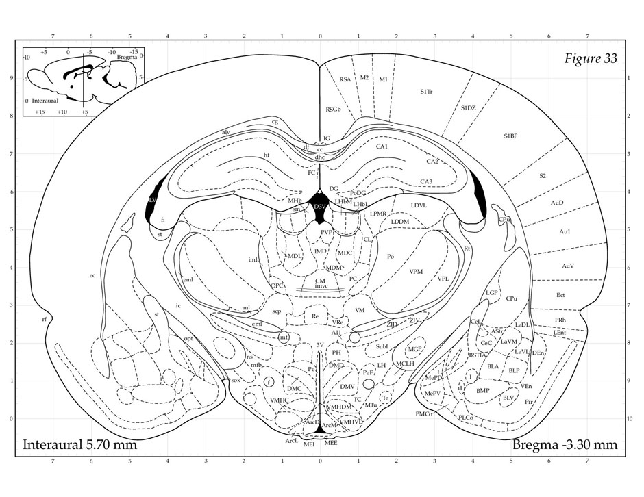 Rat Brain Atlas