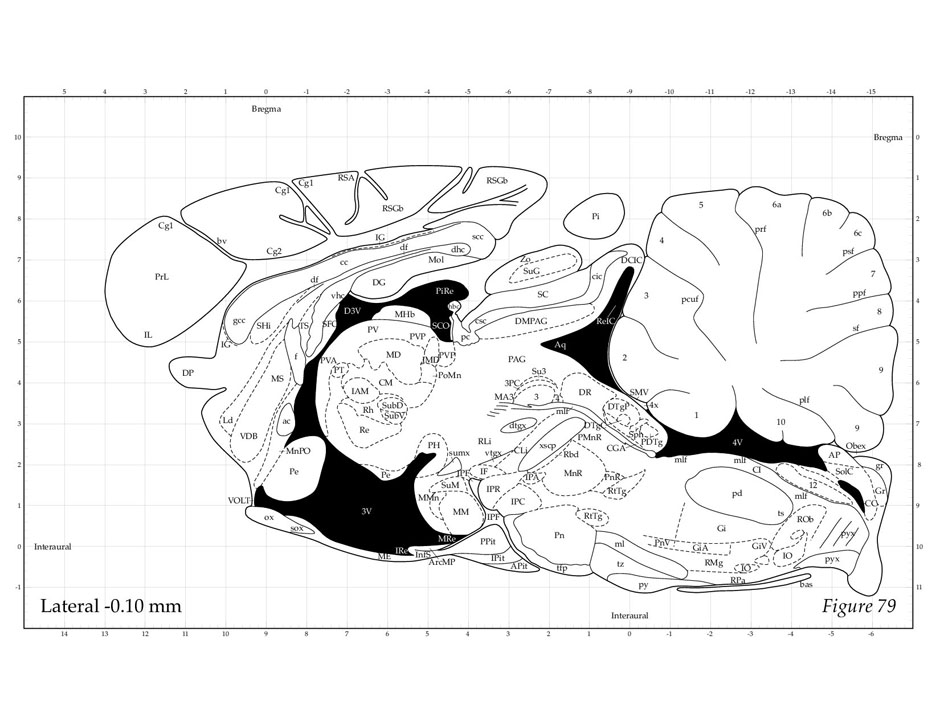 Rat Brain Atlas