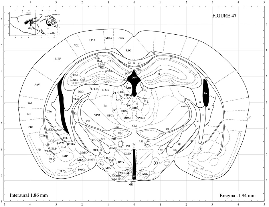 Mouse Brain Atlas