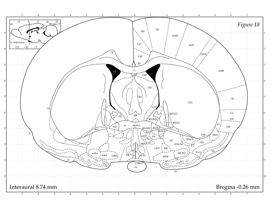 Rat Brain Atlas