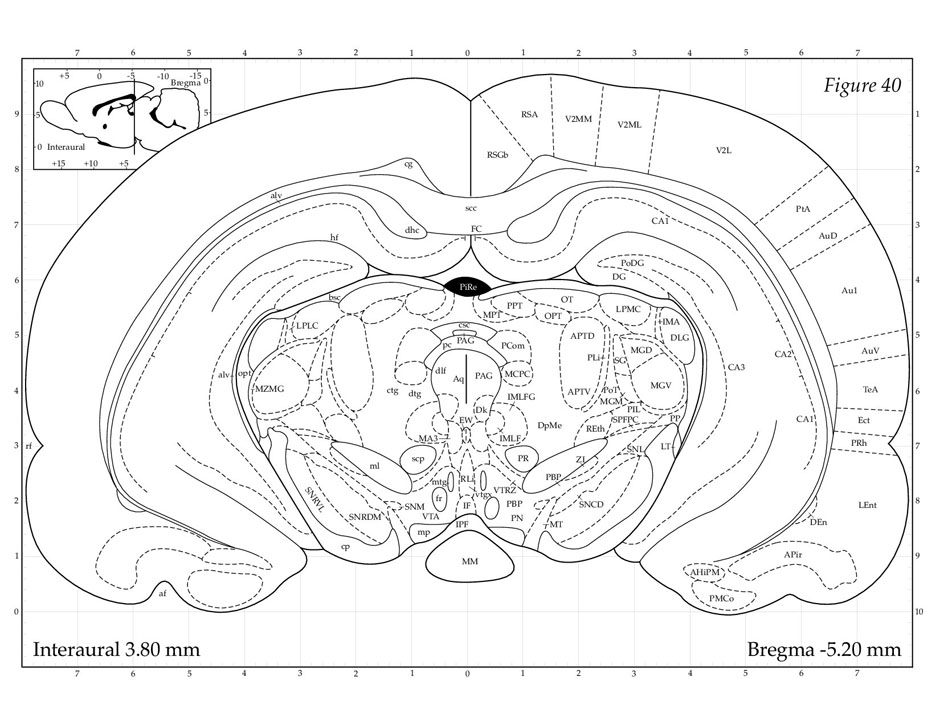 Rat Brain Atlas